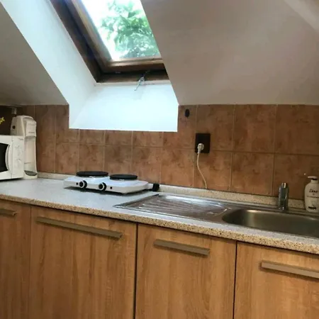 V Centre Mesta Apartmán