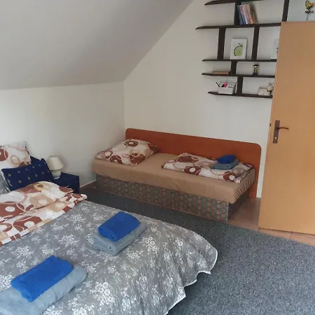 V Centre Mesta Apartament *