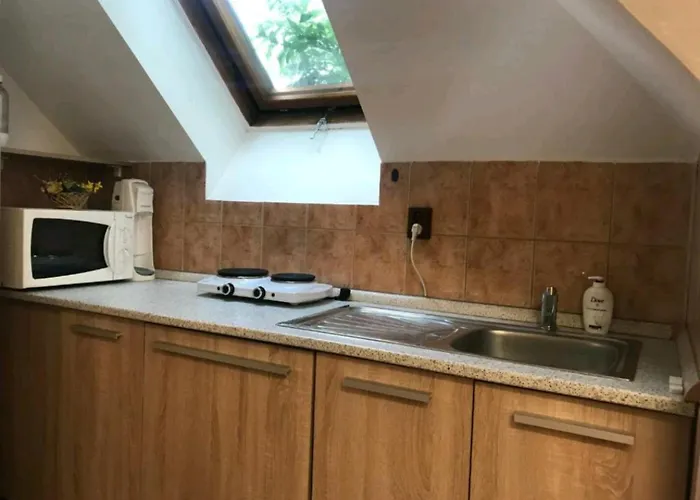 V Centre Mesta شقة