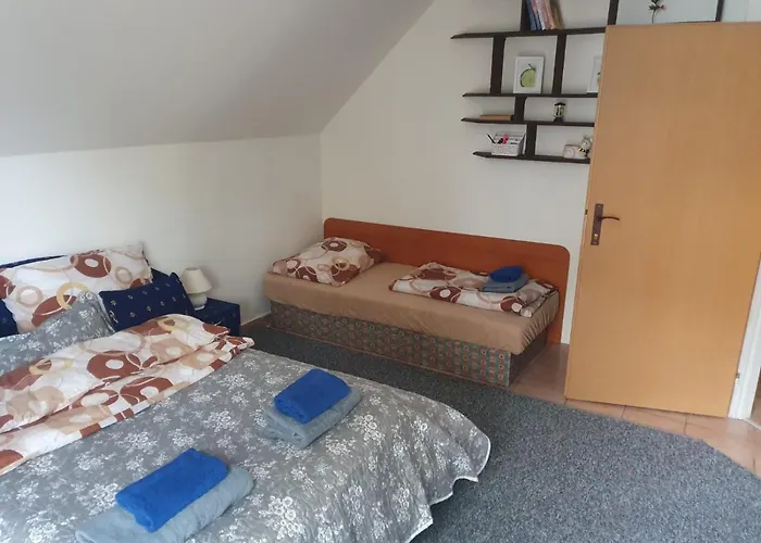 V Centre Mesta شقة *